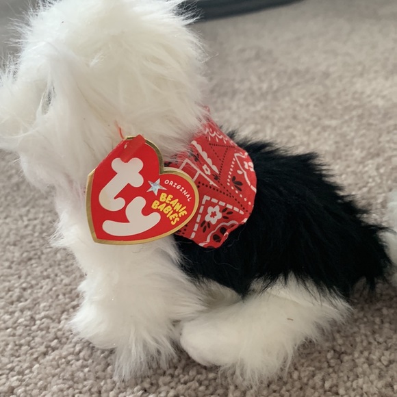 Dog Ty - Picture 2 of 3